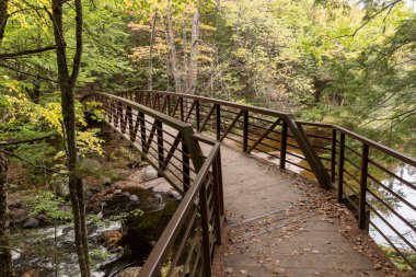 Orowhead Park 'taki nehrin üzerindeki köprü. Ontario. Kanada