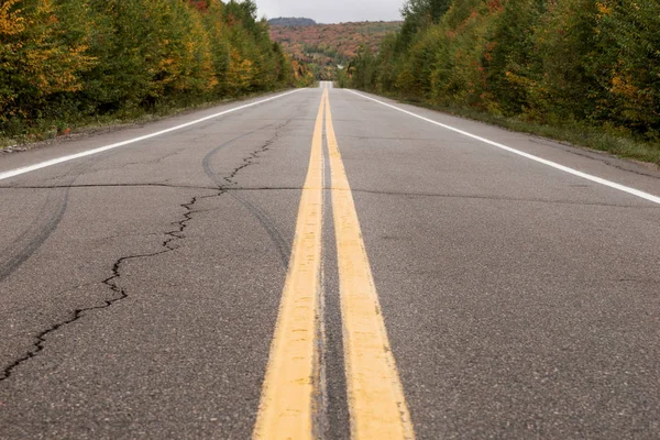 Пара Жовтих Ліній Сірій Асфальтній Дорозі Канада — стокове фото