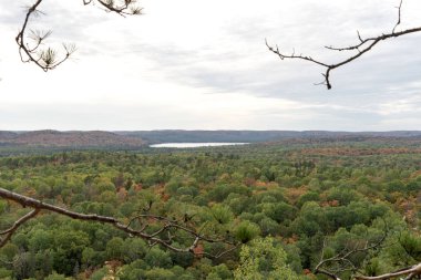 Sonbahar Algonquin Ulusal Parkı 'na bakın. Ontario. Kanada