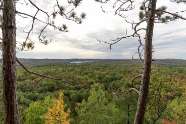 Sonbahar Algonquin Ulusal Parkı 'na bakın. Ontario. Kanada