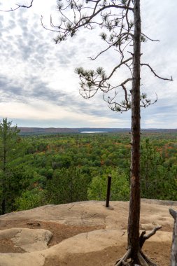 Sonbahar Algonquin Ulusal Parkı 'na bakın. Ontario. Kanada