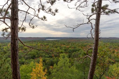 Sonbahar Algonquin Ulusal Parkı 'na bakın. Ontario. Kanada