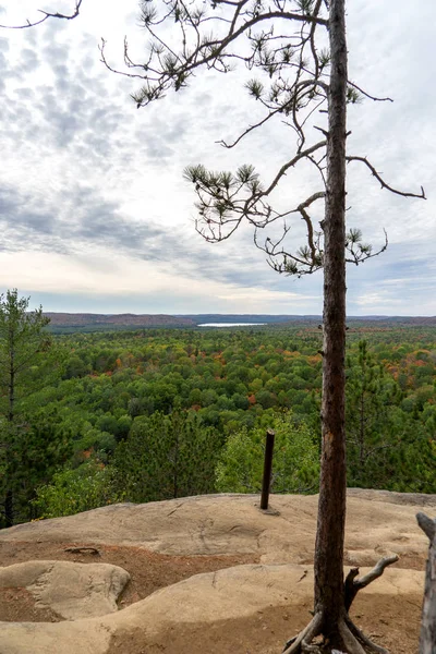 Vista Sobre Parque Nacional Del Algonquín Otoñal Ontario Canadá —  Fotos de Stock