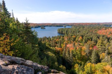 Sonbaharda Önbellek Gölü manzarası. Algonquin Ulusal Parkı. Ontario. Kanada
