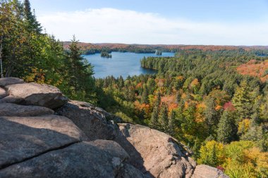 Sonbaharda Önbellek Gölü manzarası. Algonquin Ulusal Parkı. Ontario. Kanada