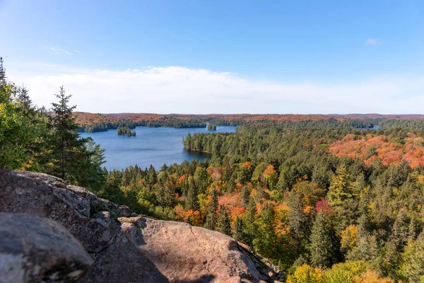 Sonbaharda Önbellek Gölü Manzarası Algonquin Ulusal Parkı Ontario Kanada — Stok fotoğraf