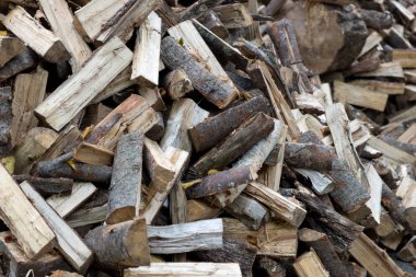 Kış için yeni odun yığını.