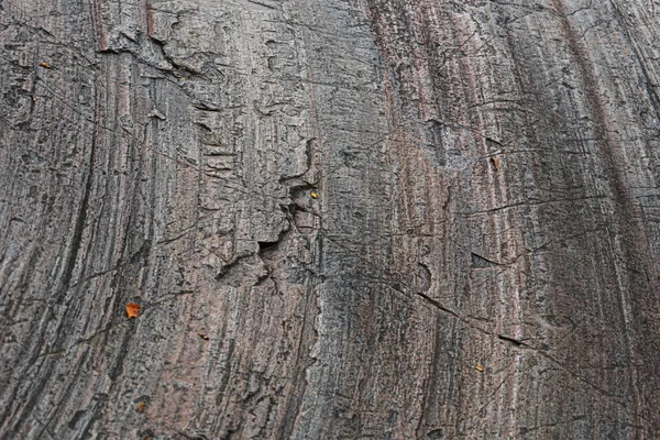 Granit Taş Doğal Taşın Yapısı Yaratıcı Arkaplan — Stok fotoğraf