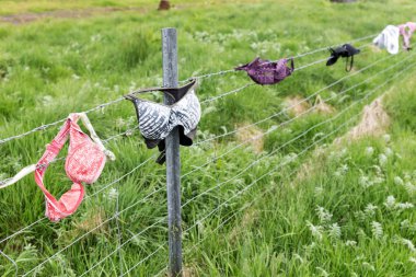 Şelale Skogafoss 'un yanındaki ana yoldaki sutyen çiti. İzlanda
