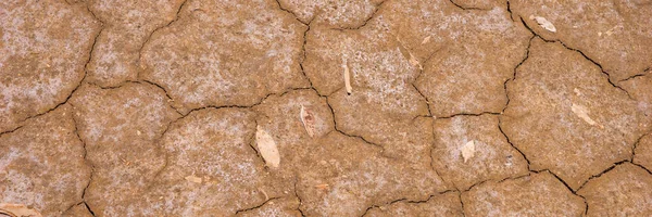 Cracked Earth Ground Dry Earth Background Global Warming Concept Panoramic — 스톡 사진