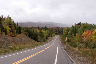 Hint Yazı 'nda Mauricie Ulusal Parkı' nda boş bir sokak. Kanada