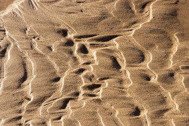 Kum plajı dokusu. Islak kumsal geçmişi