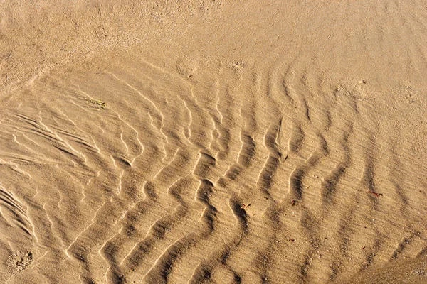 Tekstura Plaży Piaskowej Mokra Piaszczysta Plaża Tło — Zdjęcie stockowe