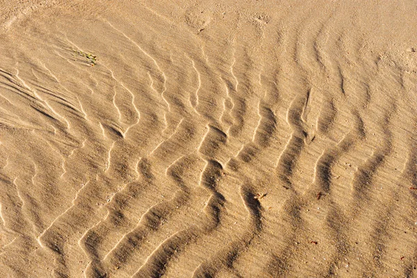 Textura Praia Areia Praia Areia Molhada Fundo — Fotografia de Stock