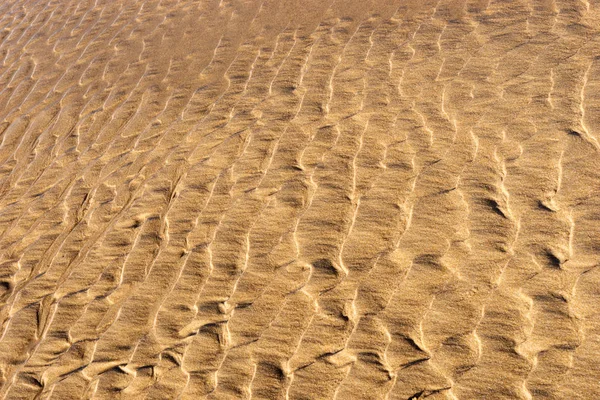 Sand Beach Texture Wet Sandy Beach Background — Stock Photo, Image