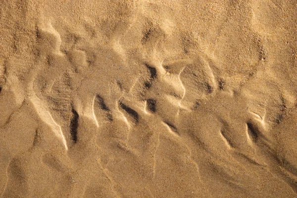 Sandstrand Konsistens Våt Sandstrand Bakgrund — Stockfoto