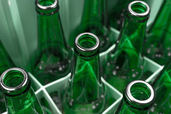 Empty green glass beer bottles in the plastic box