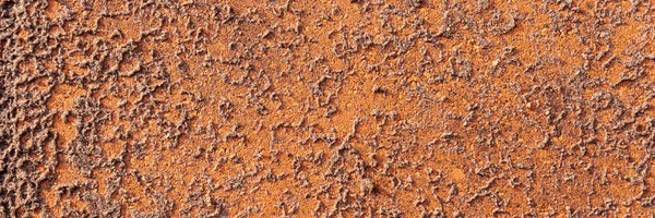 Areia Molhada Pedra Pavimentação Vermelha Após Chuva Fundo Panorâmico — Fotografia de Stock