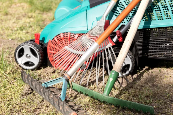 Diverse Tuingereedschappen Voor Gazononderhoud Huistuin Stockfoto