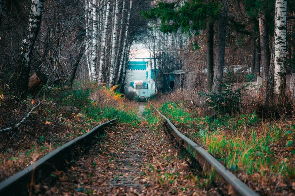 Chemin de fer dans la forêt d'automne — Photo