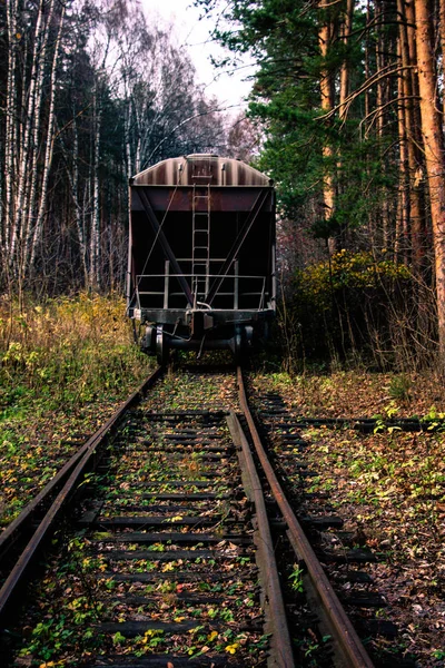 Chemin de fer dans la forêt d'automne — Photo