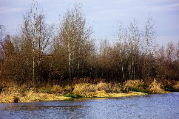 Dry grass near the river — Stock Photo, Image