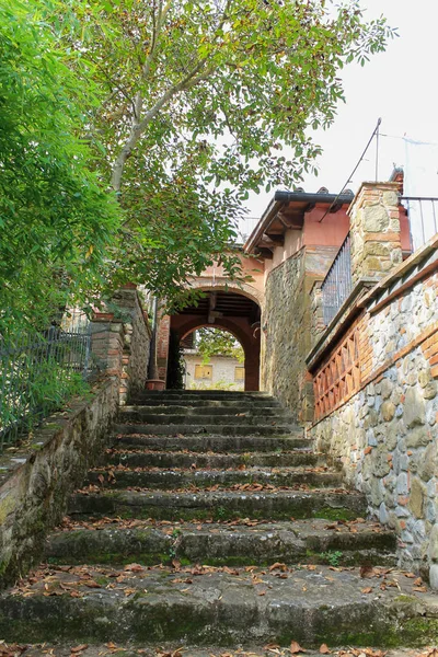Escaliers Pierre Entourés Arbres Verts Murs — Photo