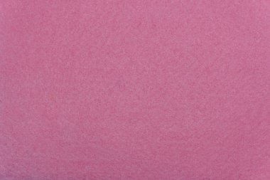 Violet dokunun arka planını hissetti. Çocuklarla el yapımı bir deneyim.. 