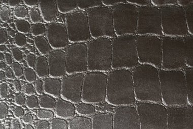 Siyah timsah derisi arka plan. Güzel doğal doku..