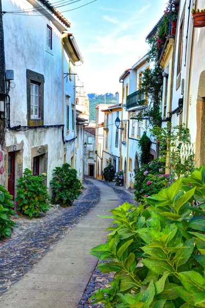 Typische Straße. Castelo de vide. portugal. — Stockfoto