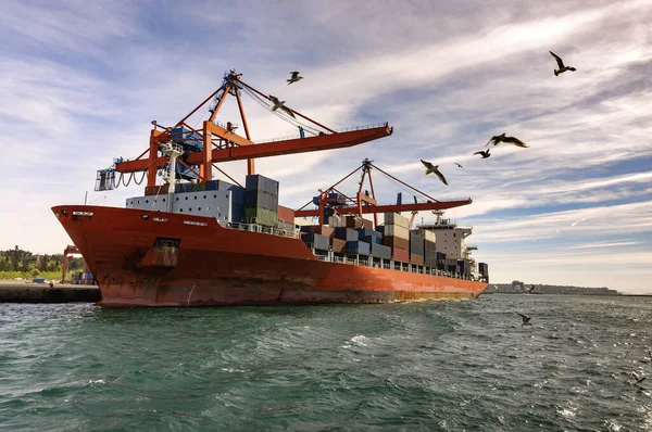 Navi Portacontainer Trasportano Merci Porto Porto Essi Sono Importanti Sviluppo — Foto Stock