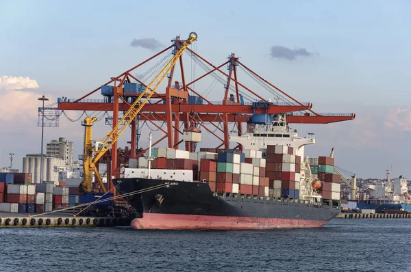 Navi Portacontainer Trasportano Merci Porto Porto Essi Sono Importanti Sviluppo — Foto Stock