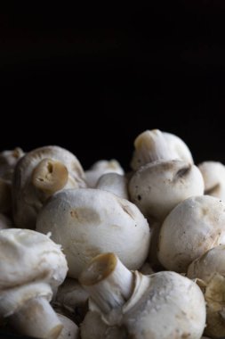 Koyu arkaplandaki taze mantarları metin için yer ile kapat