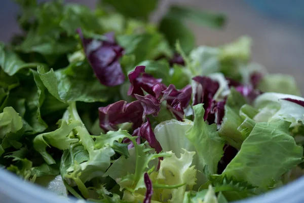Bir kâsede yıkanmış ve doğranmış taze marul, yakın çekim, bir yemeğe lezzetli ve sağlıklı bir ilave.