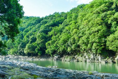 Kyoto yakınlarındaki nehirde.