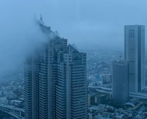 Cloudy Day Tokyo — Stock Photo, Image