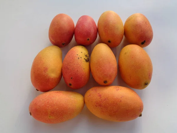 ペレム ポダン スールーポダン マンゴー 木の上で熟す インドネシアのエキゾチックな熱帯果物ですライン上で最も甘い赤いマンゴーは — ストック写真
