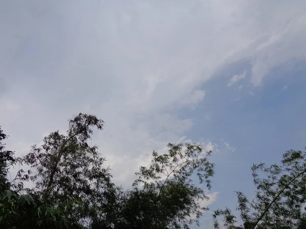 Некоторые Посадки Фоне Облачного Неба Выглядит Черное Белое — стоковое фото
