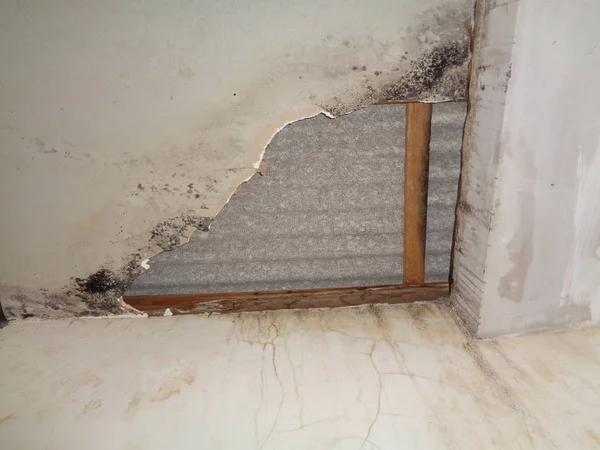 Kırık Tavanı Mantar Kirle Dolu Duvarı Kapat — Stok fotoğraf