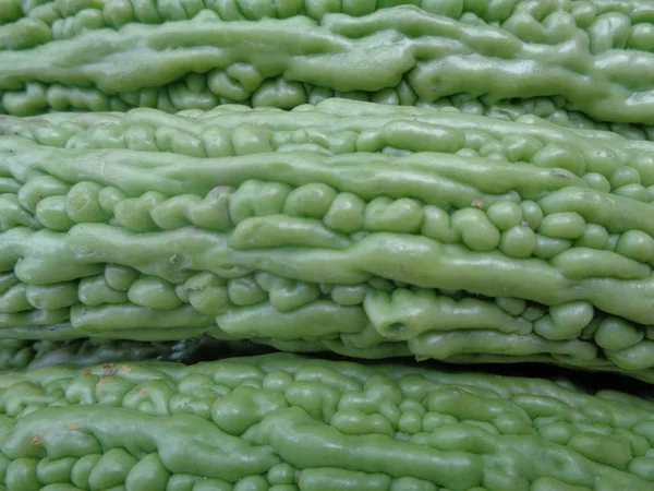 Bitter Melon Pare Exotic Vegetable Indonesia — 스톡 사진