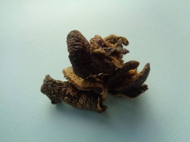 izole Achatina fulica çipleri (keripik bekicot). Endonezya egzotik atıştırmalıkları acı, kuru ve lezzetli