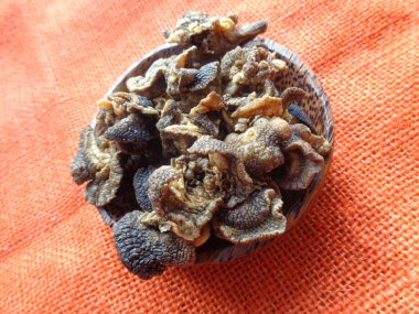 izole Achatina fulica çipleri (keripik bekicot). Endonezya egzotik atıştırmalıkları acı, kuru ve lezzetli