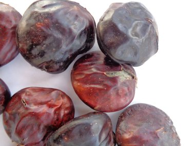 Arşidendron pauciflorum, yaygın olarak Djenkol / Jengkol olarak bilinir, beyaz arkaplanda izole edilmiştir