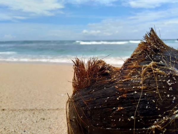 Müll Strand Sieht Schmutzig Und Chaotisch Aus Die Umweltverschmutzung Weil — Stockfoto