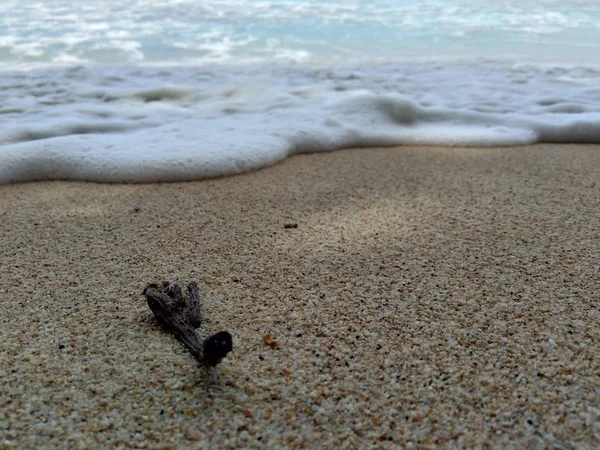 해변의 쓰레기는 지저분하고 지저분 보인다 플라스틱 폐기물 — 스톡 사진