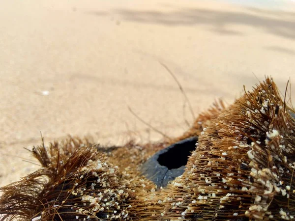 Lixo Praia Faz Com Que Pareça Sujo Confuso Poluição Porque — Fotografia de Stock