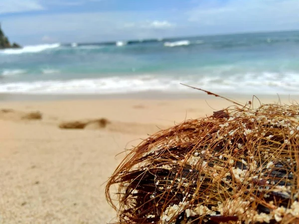 Rubbish Beach Make Looks Dirty Messy Pollution Because Many Plastic — Stock Photo, Image