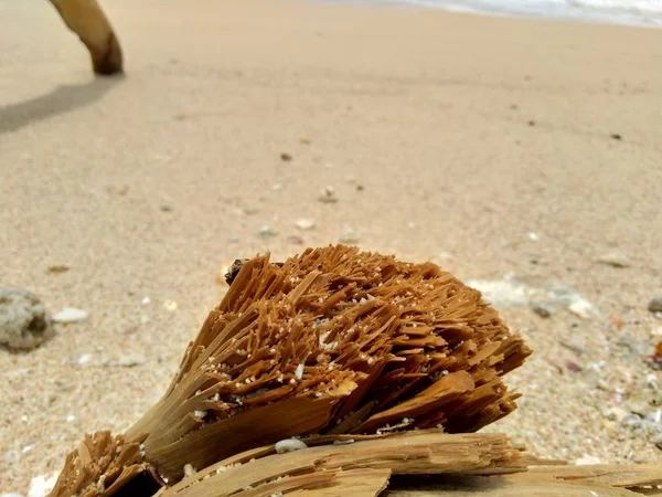 Lixo Praia Faz Com Que Pareça Sujo Confuso Poluição Porque — Fotografia de Stock