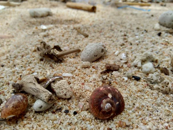 Basura Playa Hace Que Parezca Sucia Desordenada Contaminación Porque Muchos — Foto de Stock