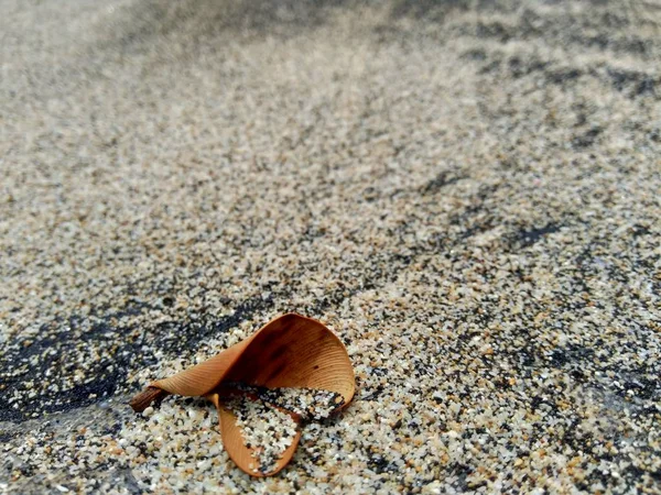 Lixo Praia Faz Com Que Pareça Sujo Confuso Poluição Porque — Fotografia de Stock